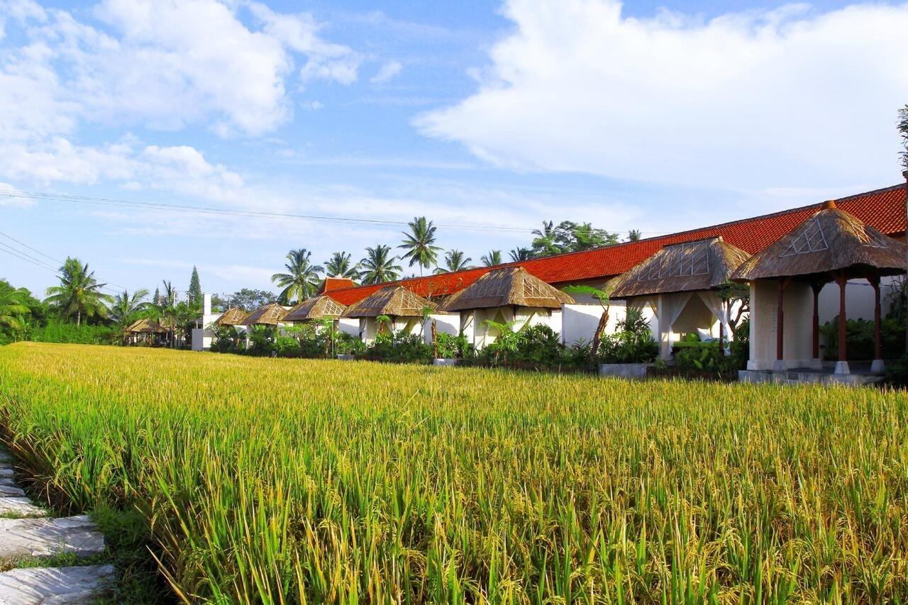 Alam Puisi Villa Ubud Esterno foto